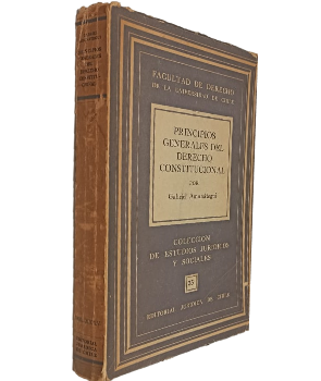 Principios Generales del Derecho Constitucional 
