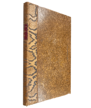 Diagnostik der Geisteskrankheiten fÃ¼r Praktische Ãrzte und Studirende