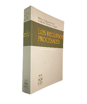 Los Recursos Procesales